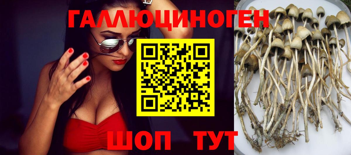 Галлюциногенные грибы Cubensis Электрогорск