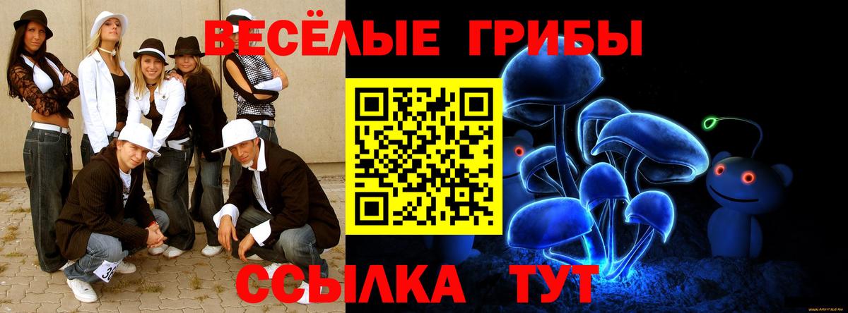 Галлюциногенные грибы Magic Shrooms  купить наркоту  Электрогорск  Вход с VPN 